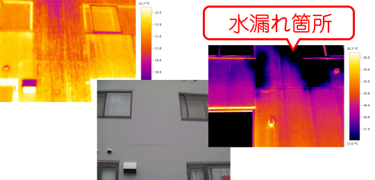サーモグラフィーによる精密検査